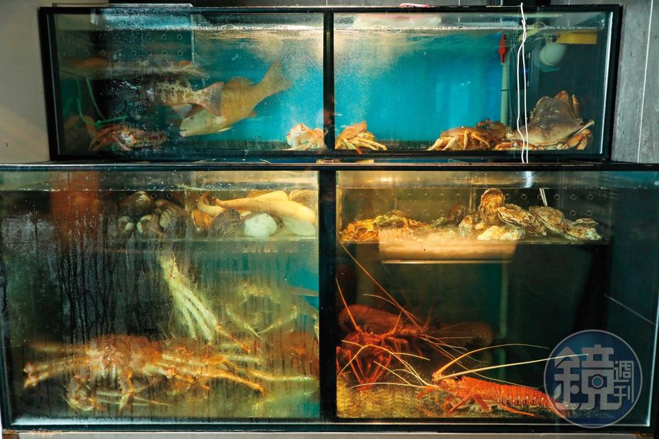 明粵大手筆投資冷鏈與魚箱設備，能大量保存帝王蟹、松葉蟹、花咲蟹與龍蝦等高級鮮貨。
