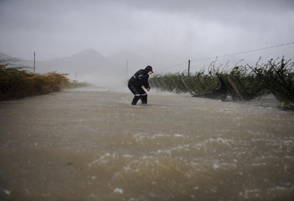A farmer battling the storm as he wade through a flooded road in Hepu township, Xiangshan county in east China's Zhejiang province, Wednesday Aug. 8, 2012. Typhoon Haikui slammed into eastern China's Zhejiang province early Wednesday, packing winds up to 150 kilometers (90 miles) per hour and triggering flooding. (AP Photo) CHINA OUT