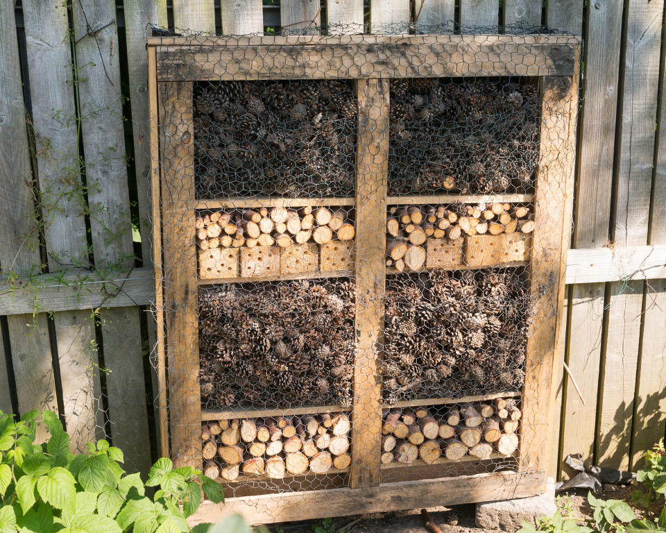 2. Knock up a bug hotel