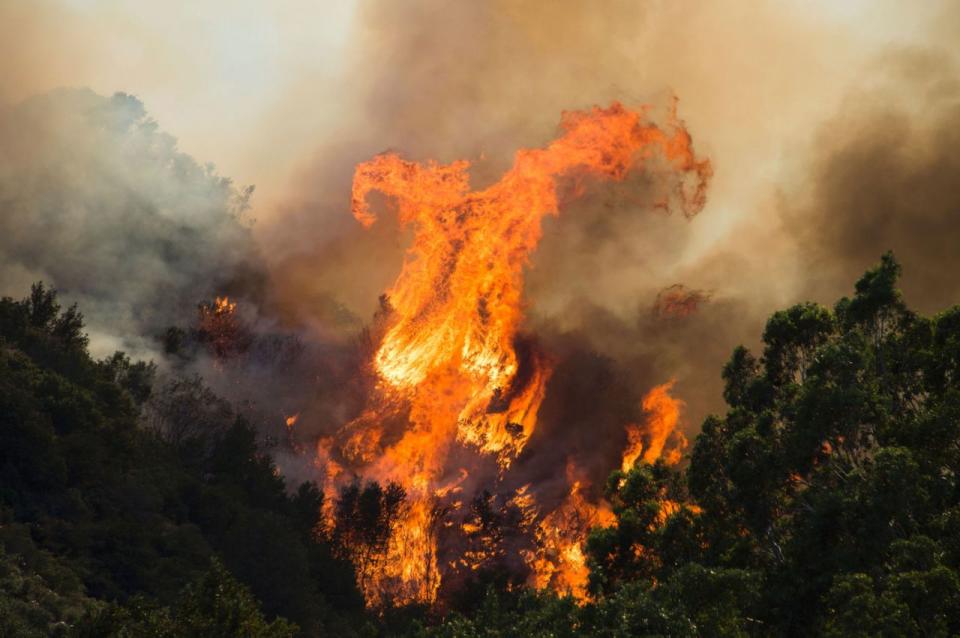 Blue Cut Fire in California