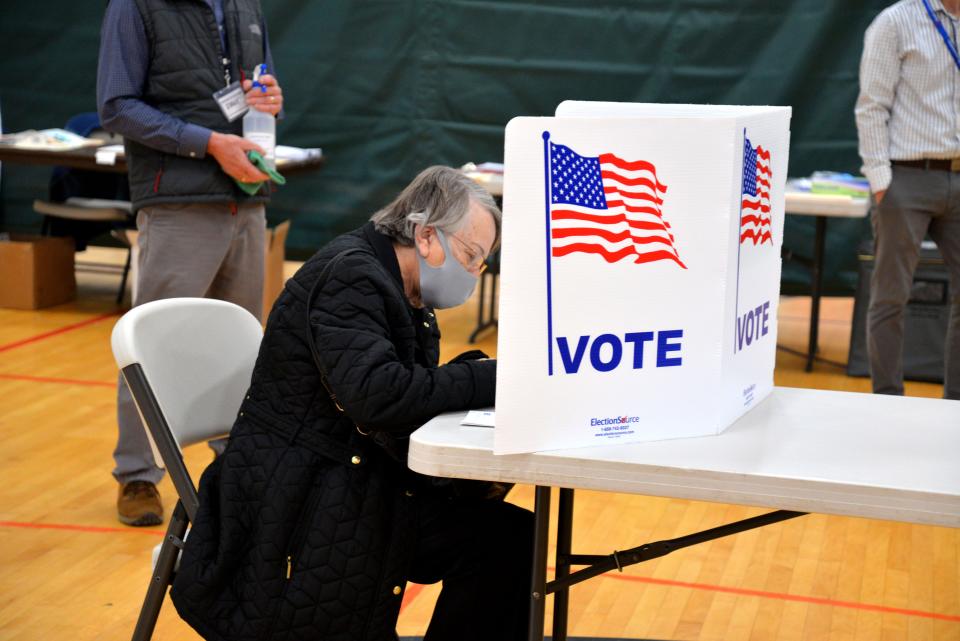 A voter in Ward 3 vote on Election Day on Nov. 3, 2020 at the Gypsy Hill Park Gym in Staunton.