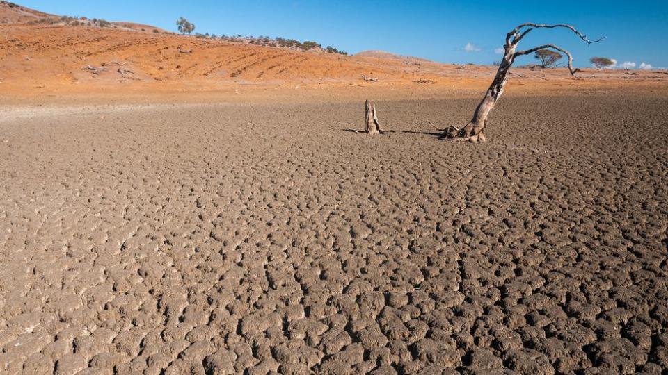 Terreno seco