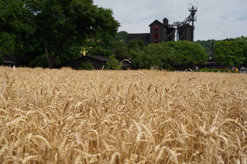 Maker's Mark Distillery has introduced expanded Star Hill Farm Experiences that go beyond the typical distillery tour.