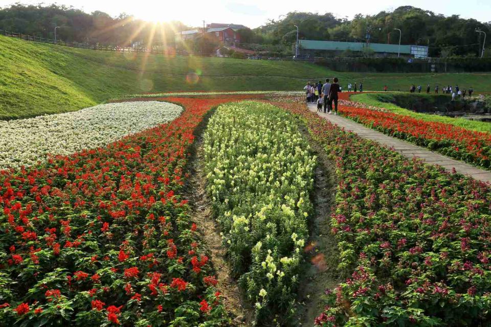 大溝溪的植被依著小山坡蜿蜒，花圃、綠草與流水相伴，地勢平坦好逛。   圖：台北市水利處／提供