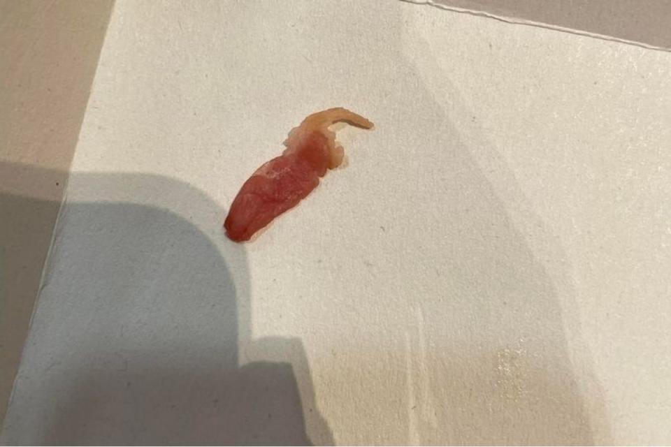 Bacon strip on McDonald's floor after falling from vegan burger