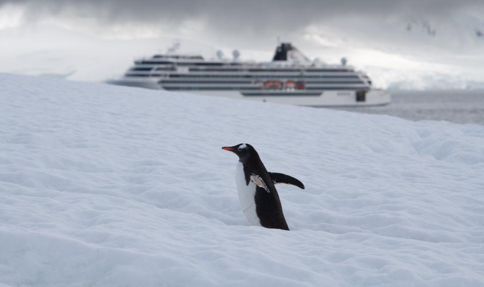 The Viking Octantis made its maiden voyage to Antarctica.