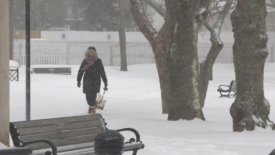 The snow is expected to stop falling by mid-day on Saturday.