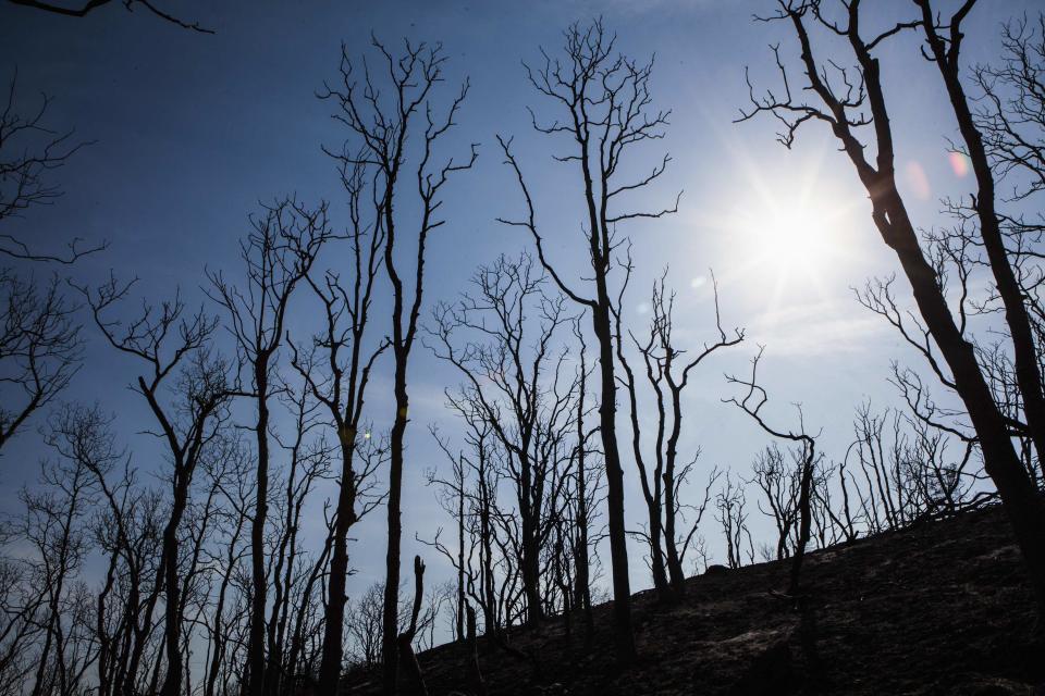 Northern California wildfires