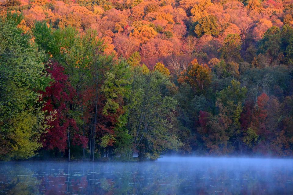 The fall leaves show their colors at Ramapo Valley County Reservation Park in Mahwah on Wednesday morning October 31, 2018.