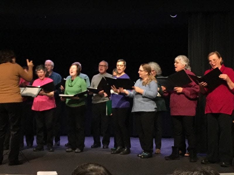 The Bloomington Peace Choir performs at many community events, including the Martin Luther King Jr. programming at the Monroe County Public Library.