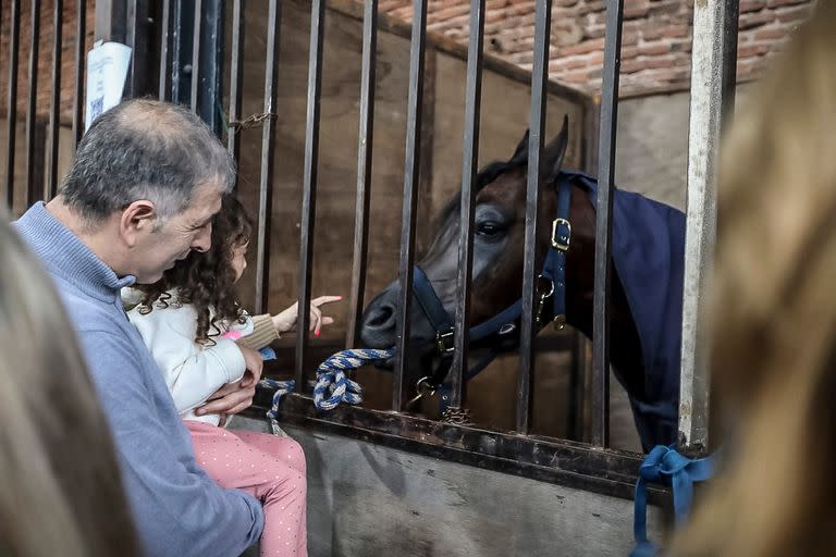 La zona de exposición de caballos, entre las preferidas de los chicos que hoy recorrieron La Rural