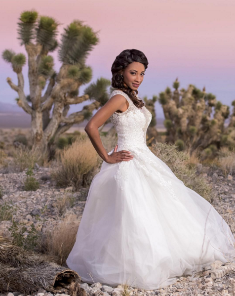 This pastel Las Vegas desert sunset puts clear blue skies to shame. 