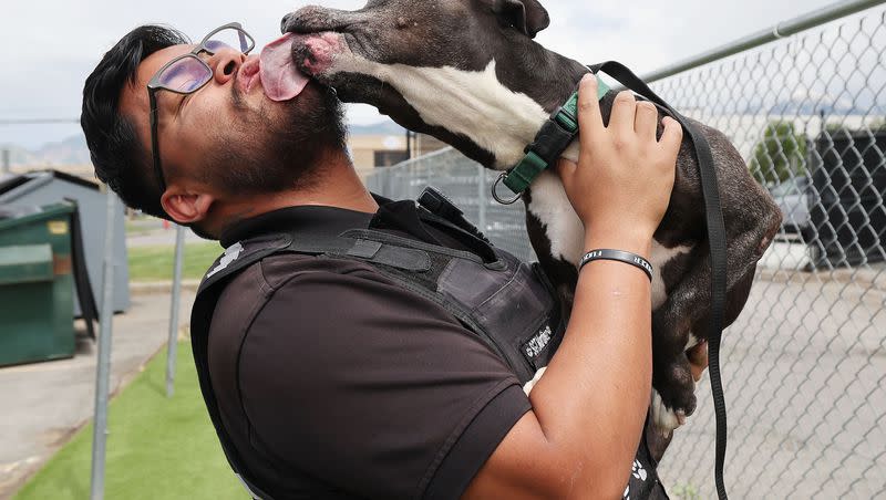 Salt Lake County Animal Services Sgt. Jose Martinez plays with a dog waiting to be adopted in Salt Lake City on Thursday, June 8, 2023. Best Friends Animal Society reports that Utah has 13 kill shelters. Salt Lake County Animal Services is a no-kill shelter.