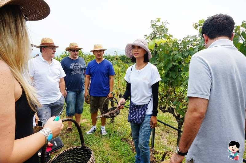 華欣景點.華欣旅遊.華欣自由行.華欣包車.華欣葡萄酒莊園.Monsoon Valley Vineyard.Hua Hin Hills Vineyard.The Sala Wine Bar&Bistro.