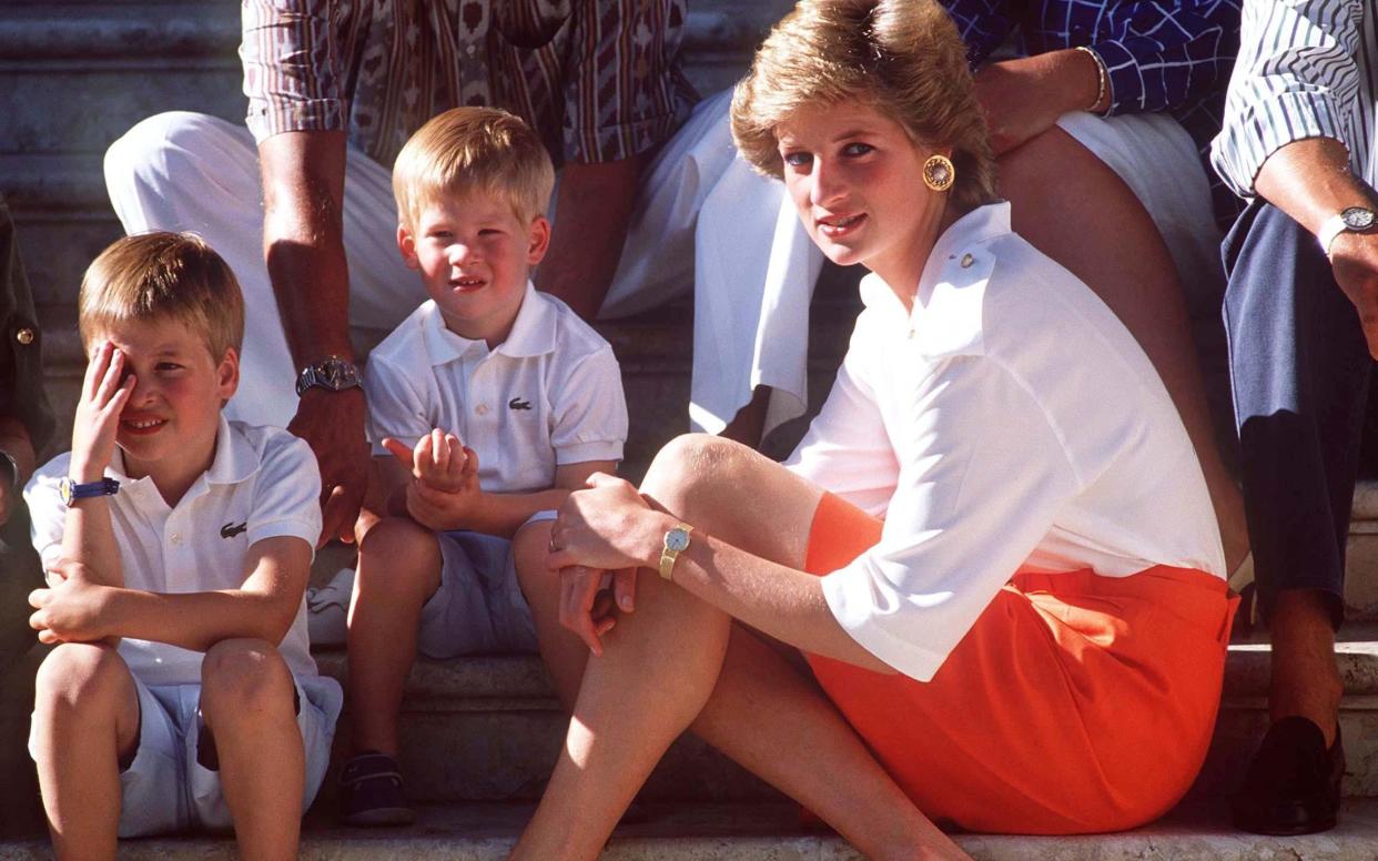 Princess Diana with William and Harry in 1988 - Rex Features