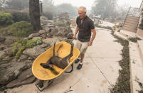 <p>Jim Hanks uses a wheelbarrow to remove a fawn he found in the backyard pond of his Fountaingrove home, one of the only homes on the block that survived the Monday morning inferno on Oct. 10, 2017 in Santa Rosa, Calif. (Photo: Brian van der Brug/Los Angeles Times via Getty Images) </p>