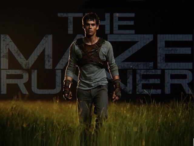 How The Maze Runner points to a new direction in film adaptations, The Maze  Runner