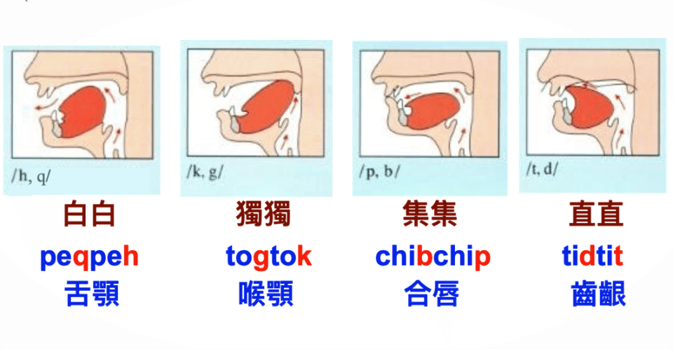 h、k、p、t 這一組「無聲子音」在拼音字中的功能，是指出字音斷促時，最後發生的口腔唇、齒、齦、舌、喉等部位。圖 / 王泰澤提供