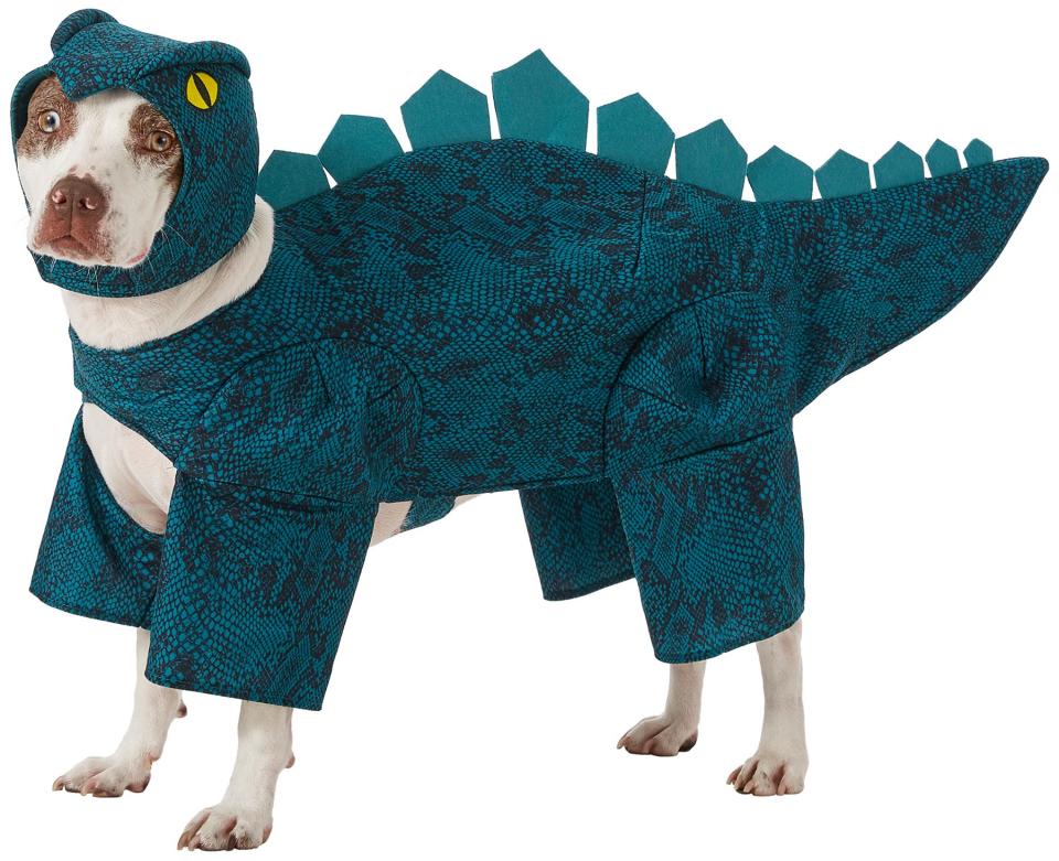 Stegosaurus Dinosaur