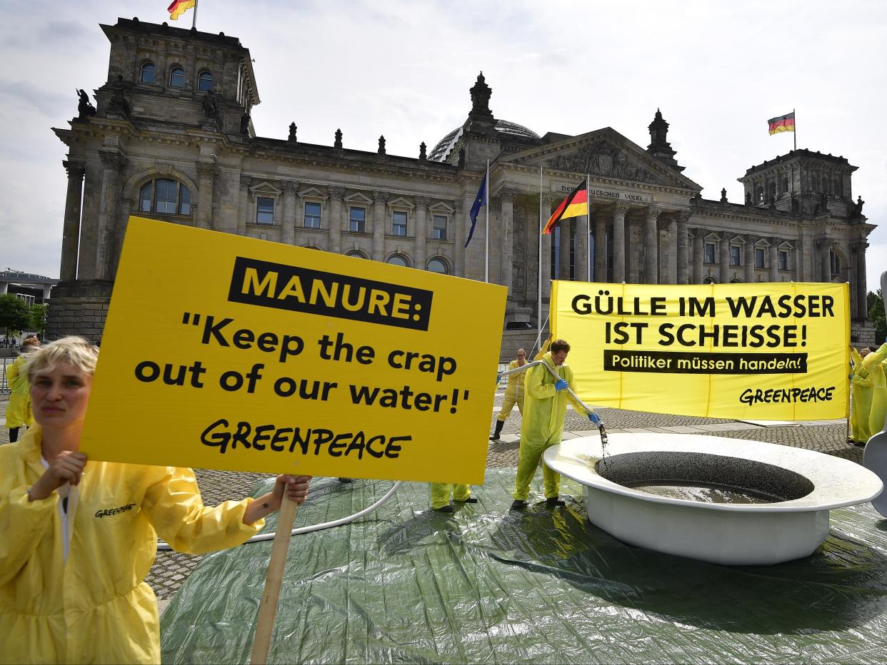 Manure from agriculture can cause water pollution but MEPs were accused of failing to tackle the problem (AFP via Getty Images)