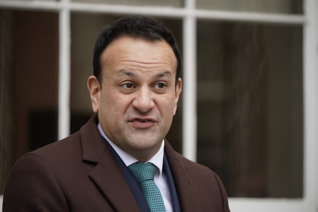 Tanaiste Leo Varadkar said that it was inevitable that Ireland would see a case of monkeypox (Niall Carson/PA) (PA Wire)