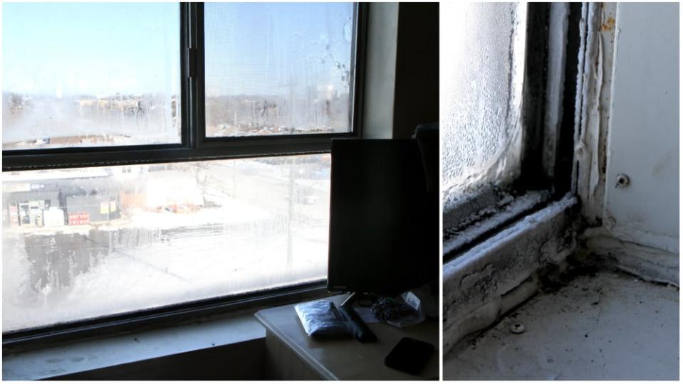 Gudgeon's bedroom window that she says has been leaking for years but has never been replaced. On the right, a close up of the corner where water seeps in.