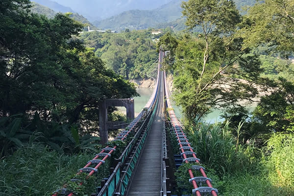 新溪口吊橋為全台最長吊床式吊橋 (圖／桃園事)