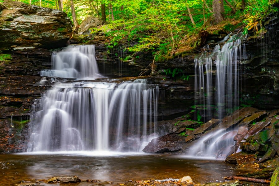 The pretty ones,Scenic view of waterfall in forest,Ricketts Glen State Park,United States,USA
