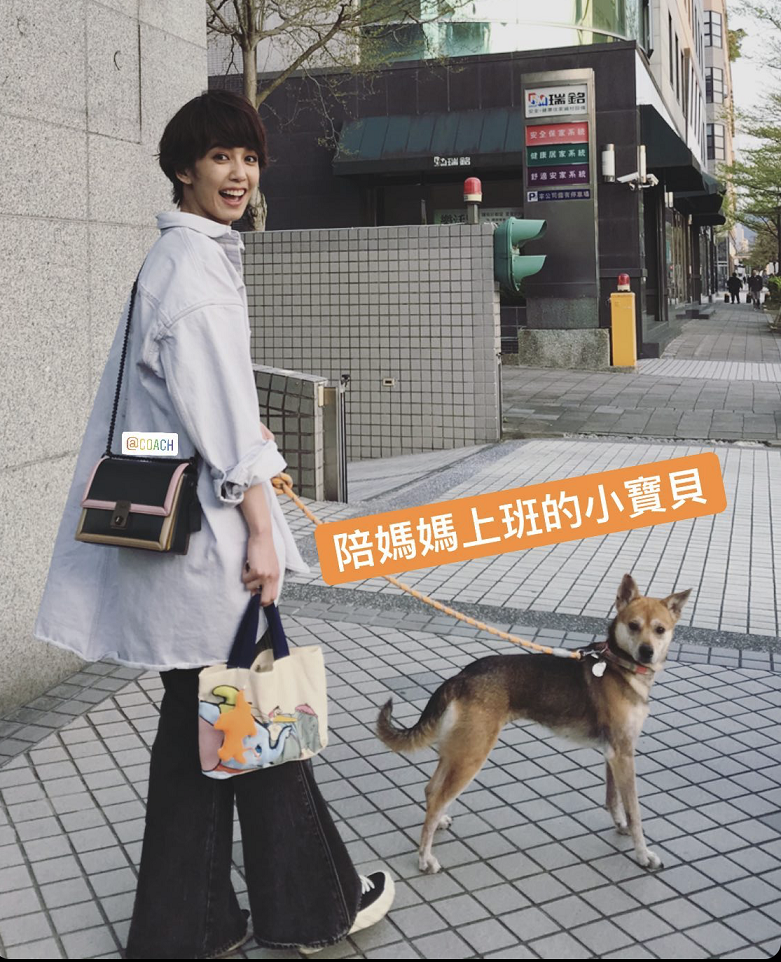 陳庭妮帶著愛犬外出時身上就是背著COACH Hutton手袋。NT$19,800（COACH提供）