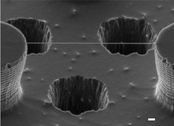 A bundle of DNA is supported by two silicon pillars.