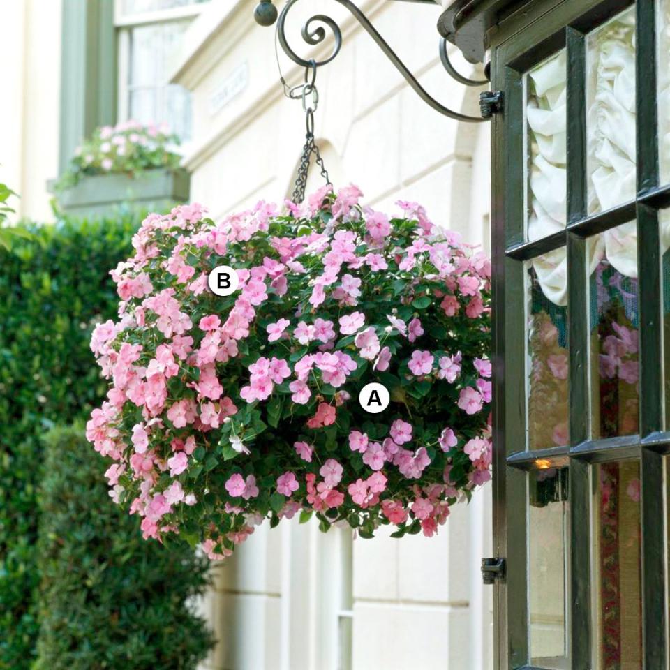 Use these easy plant-by-numbers recipes to put together the most beautiful hanging baskets in your neighborhood.