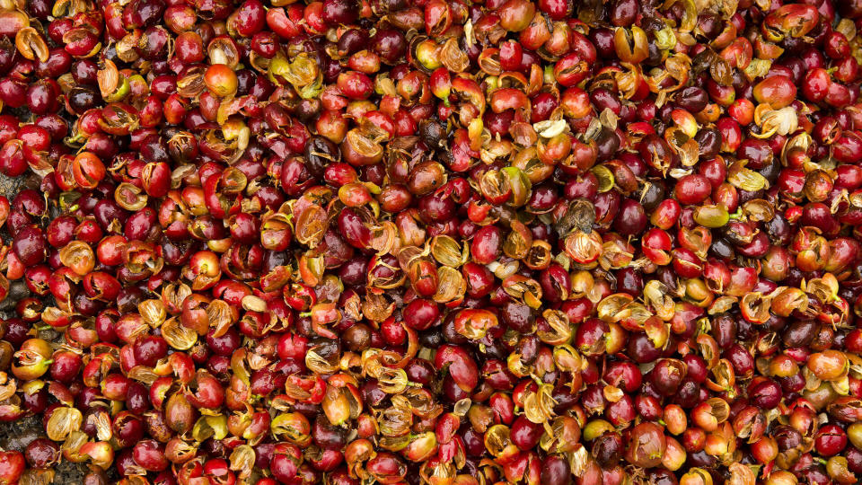 crushed coffee cherries