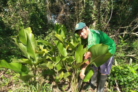 Identificación de áreas para restauración de ecosistemas en Imiría, Ucayali. 