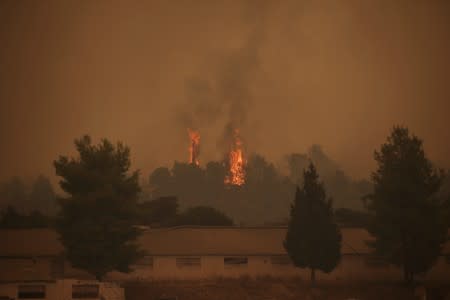 Flames rise behind a farm as a wildfire burns near the village of Psachna, on the island of Evia