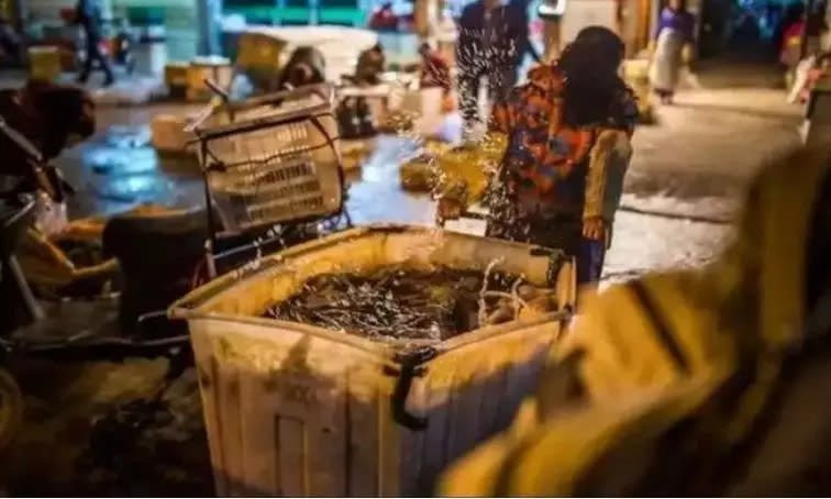 A worker moving a crate of seafood in the wee hours at Huanan.