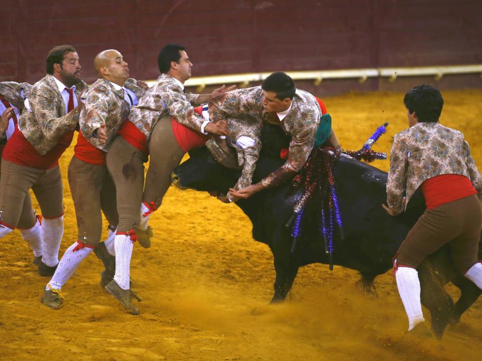 bull fight bullfighters