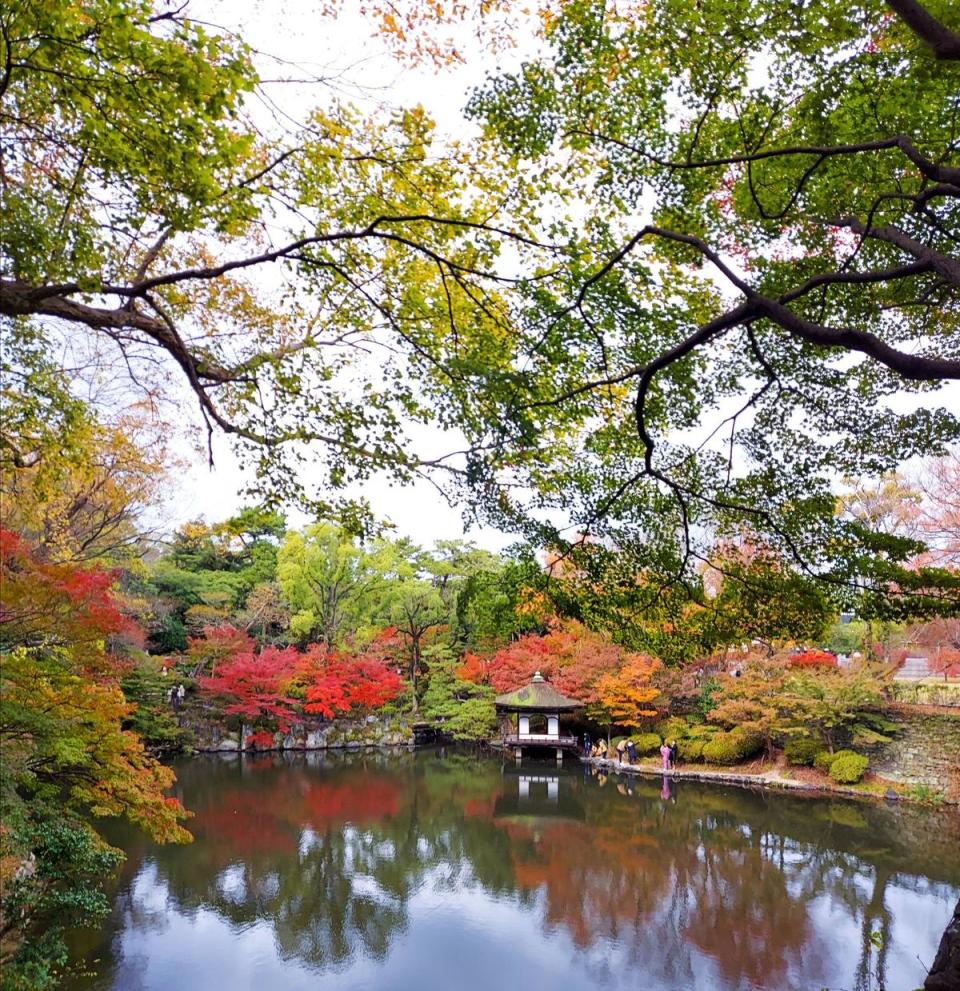 和歌山城內的紅葉溪庭園。（和歌山縣觀光連盟）