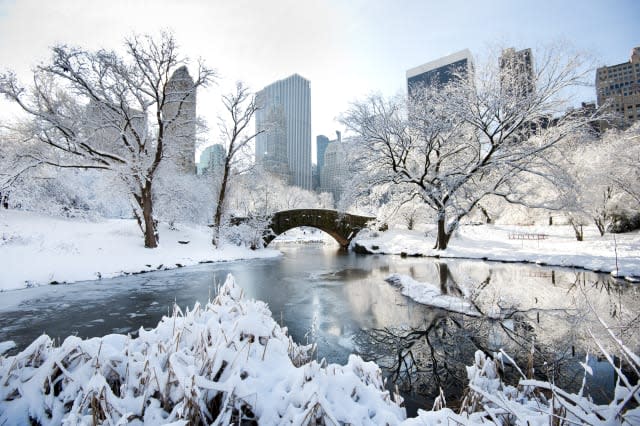 Winter Weather in New York - USA