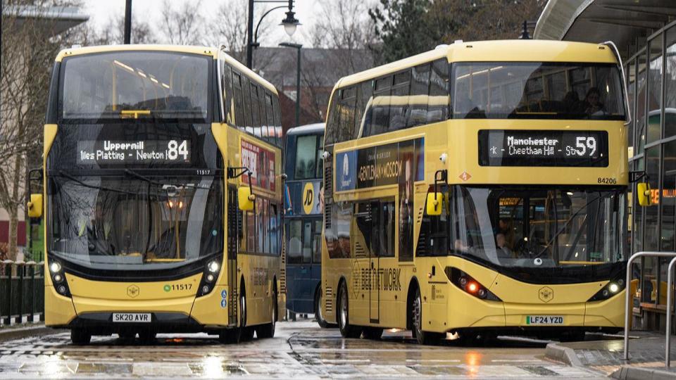 Yellow Bee Network buses