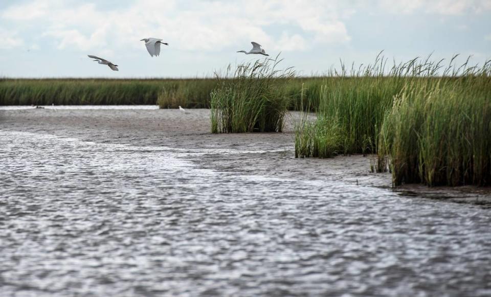 Birds fly over the water at Grand Bay National Estuarine Research Reserve on Wednesday, Sept. 22, 2021.