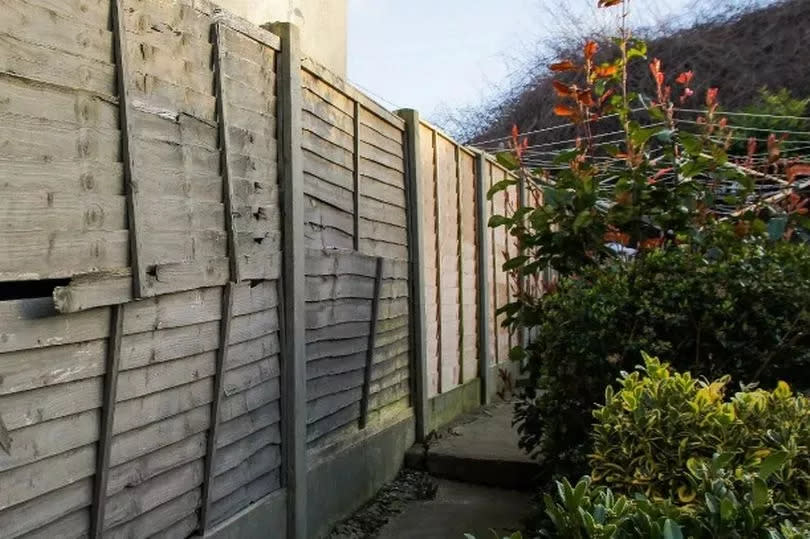 Gardening experts say people can use a most effective privacy solution to keep nosy neighbours from encroaching onto their properties.