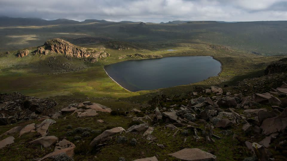 Ethiopia’s Bale Mountains National Park has been inscribed on the coveted UNESCO World Heritage List. - Daniel Rosengren/UNESCO World Heritage Nomination Office