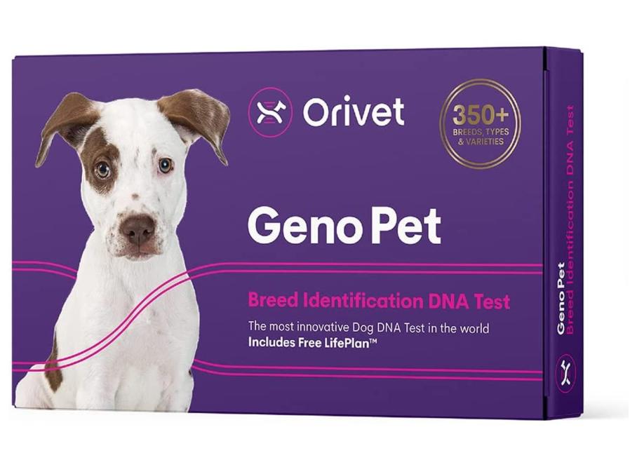 how much is a dog dna test