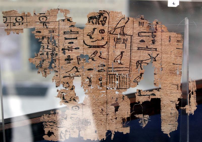 Los papiros encontrados en el puerto de Wadi al Gurf, uno de los más importantes del Antiguo Egipto y situado en el golfo de Suez, fueron descubiertos durante una excavación de un equipo franco-egipcio en 2013. En ellos están los diarios de a bordo del inspector Merer, que fue responsable de un equipo de trabajadores que trasladaba piedras para construir la instalación funeraria, desde la orilla oriental del Nilo al lugar de la Gran Pirámide de Keops en Giza, al sur de El Cairo. Además, los papiros relatan la cantidad de comida que recibían los trabajadores en la pirámide. Foto: EFE