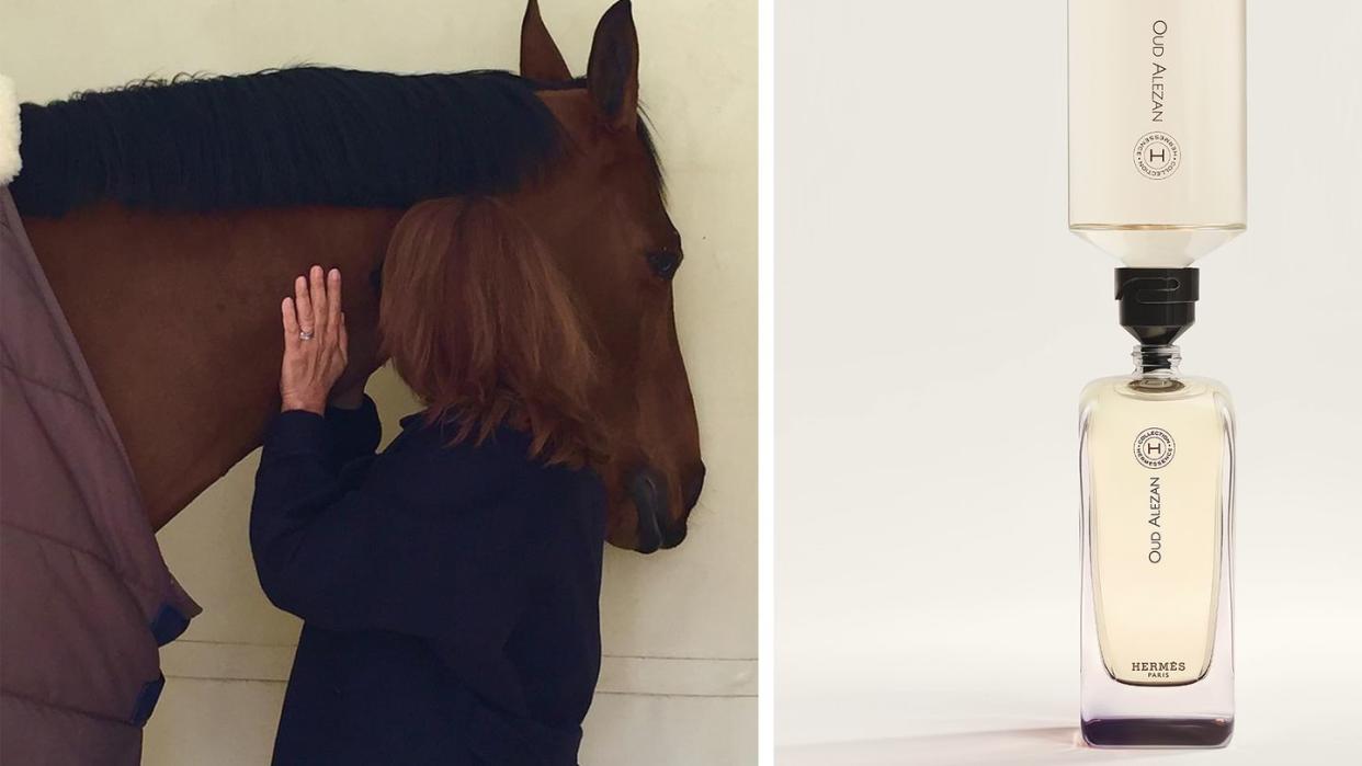 a person touching a horse's head