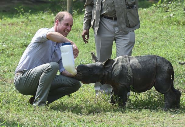 PHOTO: Prince William, Duke of Cambridge feeds a baby rhino during a visit to the Center for Wildlife Rehabilitation and Conservation at Kaziranga National Park, on April 13, 2016, in Guwahati, India. (Samir Hussein/WireImage via Getty Images, FILE)