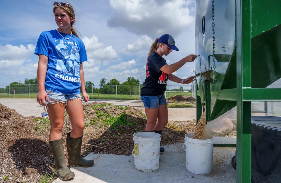 Chloe Jordan, a freshman student at Maconaquah High School, releases feed into a bucket Tuesday, May 31, 2022, at the school districts's cattle farm that sits in the middle of their campus. Bayla Gochenour, a freshman student at Maconaquah High School, stands by to lock the feeder.