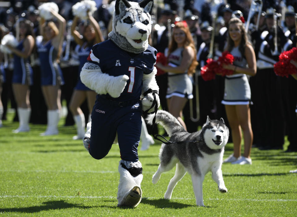 The Connecticut mascot takes the field during an NCAA college football game Saturday, Sept. 15, 2018, in East Hartford, Conn. (AP Photo/Jessica Hill)