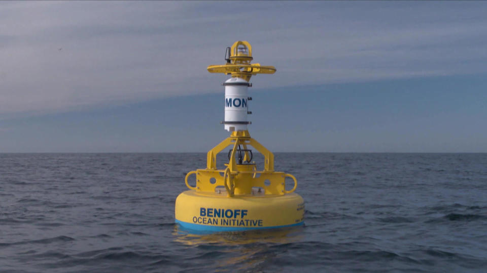 Acoustic monitoring instruments on buoys identify blue, humpback and fin whale vocalizations in Santa Barbara Channel. / Credit: CBS News