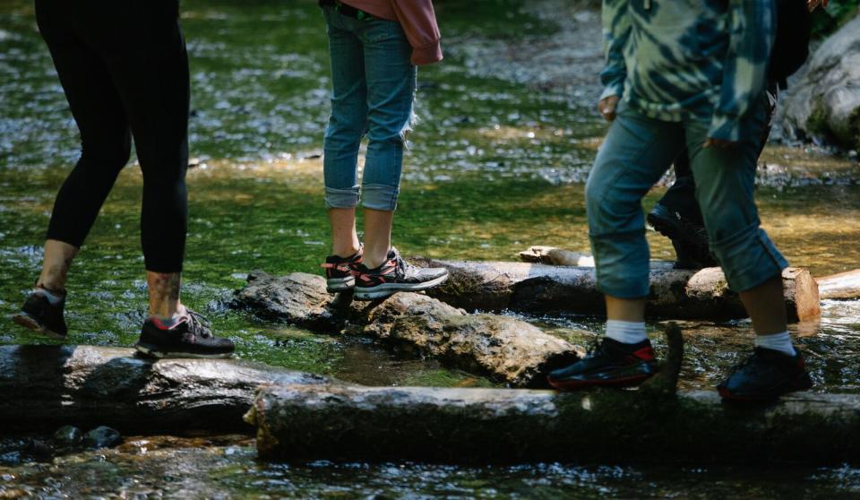 People stand on logs on the Fern Canyon Trail.